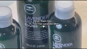 Hair Wash Day for Curly, Dry Hair with Tea Tree Lavender Mint