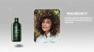 Paul Mitchell Tea Tree Lavender Mint Shampoo